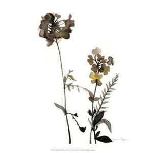  Watermark Wildflowers V   Poster by Jennifer Goldberger 