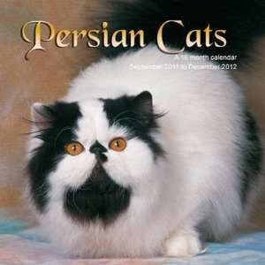  Persian Cats 2012 Wall Calendar