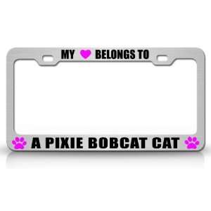 MY HEART BELONGS TO A PIXIE BOBCAT Cat Pet Steel Metal Auto License 