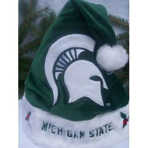  Michigan State plush holly NCAA Solid color Team logo 