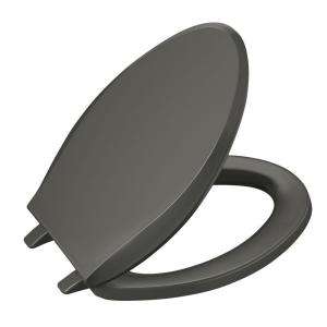   Elongated, Closed front Toilet Seat with Q2 Advantage in Thunder Grey