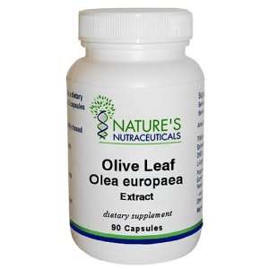 Healthy Aging Neutraceuticals Olive Leaf (olea Europaea) Extract 90 