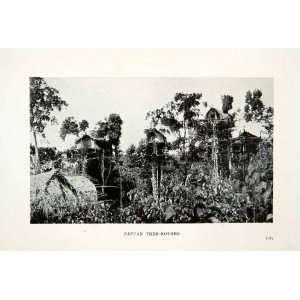  1909 Print Papuan Tree Houses Baruga Tribe Papua New 