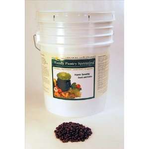Organic Red Chili Beans   35 Lbs   Red Bean for Cooking, Soups, Chili 