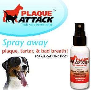 Plaque Attack Triple Care Dental Spray  