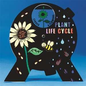  Color Me Plant Life Cycle Spin N Learn Craft Kit (Makes 