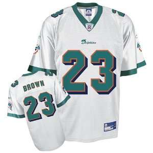   Dolphins Ronnie Brown Youth Replica White Jersey