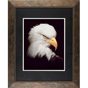  Eagle Eye James Jones 22x26 Gallery Quality Framed Art 