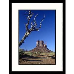  Great American Picture West Mitten Butte, Arizona Framed 