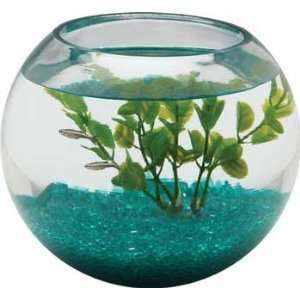  TOM Aquarium Glass Bowl Half Gallon