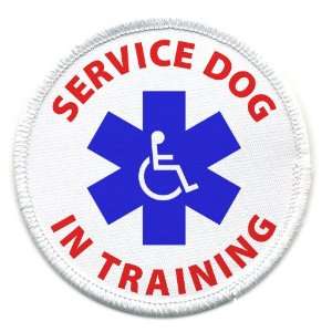  DOG IN TRAINING Medical Alert 2.5 inch Sew on Patch: Everything Else