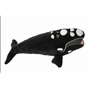  North Atlantic Right Whale Plush Toy Toys & Games