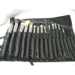 Professional 16 Piece Makeup Brush Set and Case With Separate Brush 