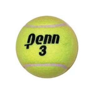  Penn Championship Game Tennis Balls: Sports & Outdoors