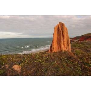  Termite Mound on Coast of Cape York, North of Cooktown by 