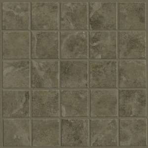  Shaw Floors CS31D 00200 Serengeti Mosaic Tile Accent in 