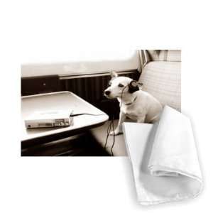  Dog listening to walkman radio on a train   Tea Towel 100% 