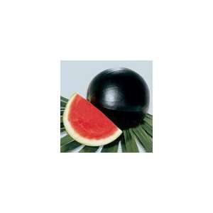  Watermelon Everglade Hybrid Seeds Patio, Lawn & Garden